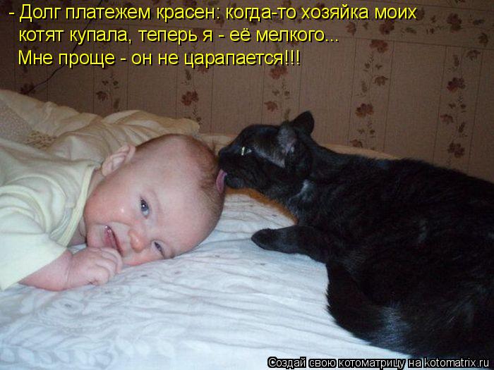 - Долг платежем красен: когда-то хозяйка моих котят купала, теперь я - её мелкого... Мне проще - он н... Котоматрица: - Долг платежем красен: когда-то хозяйка моих котят купала, теперь я - её мелкого... Мне проще - он не царапается!!!