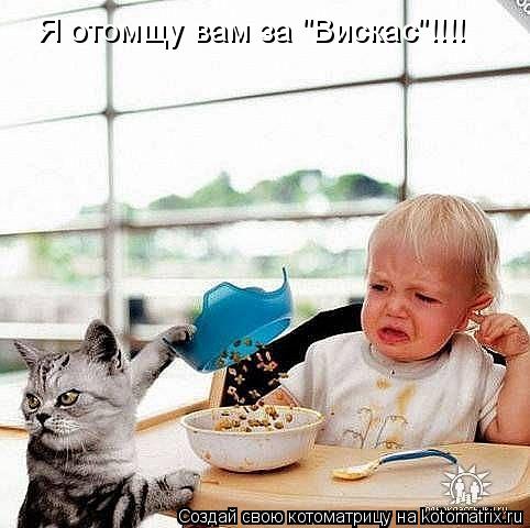 Я отомщу вам за "Вискас"!!!!... Котоматрица: Я отомщу вам за "Вискас"!!!!