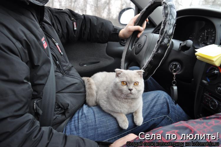 Села по люлить!... Котоматрица: Села по люлить!