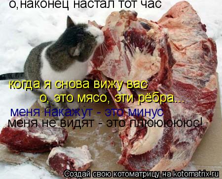 когда я снова вижу вас о, это мясо, эти рёбра... меня накажут - это минус о,наконец настал тот час ме... Котоматрица: когда я снова вижу вас о, это мясо, эти рёбра... меня накажут - это минус о,наконец настал тот час меня не видят - это плюююююс!
