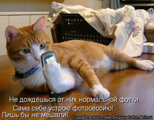 Не дождёшься от них нормальной фотки. Сама себе устрою фотосессию! Лишь бы не мешали!... Котоматрица: Не дождёшься от них нормальной фотки. Сама себе устрою фотосессию! Лишь бы не мешали!