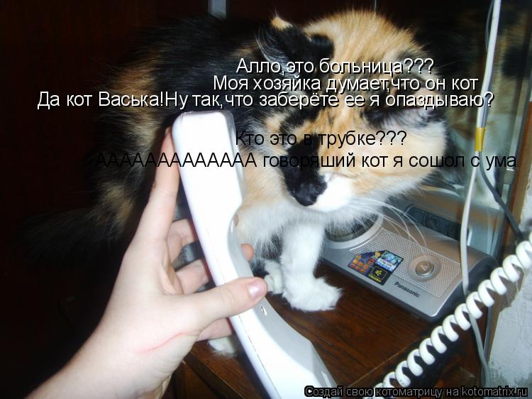 Алло,это больница??? Моя хозяйка думает,что он кот Кто это в трубке??? Да кот Васька!Ну так,что забер... Котоматрица: Алло,это больница??? Моя хозяйка думает,что он кот Кто это в трубке??? Да кот Васька!Ну так,что заберёте ее я опаздываю? ААААААААААААА говоряши