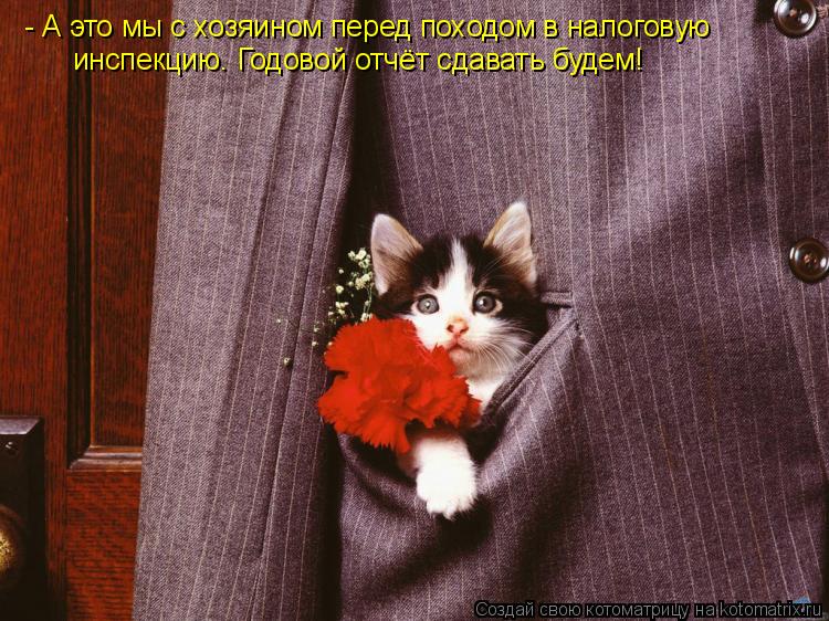 - А это мы с хозяином перед походом в налоговую инспекцию. Годовой отчёт сдавать будем!... Котоматрица: - А это мы с хозяином перед походом в налоговую инспекцию. Годовой отчёт сдавать будем!