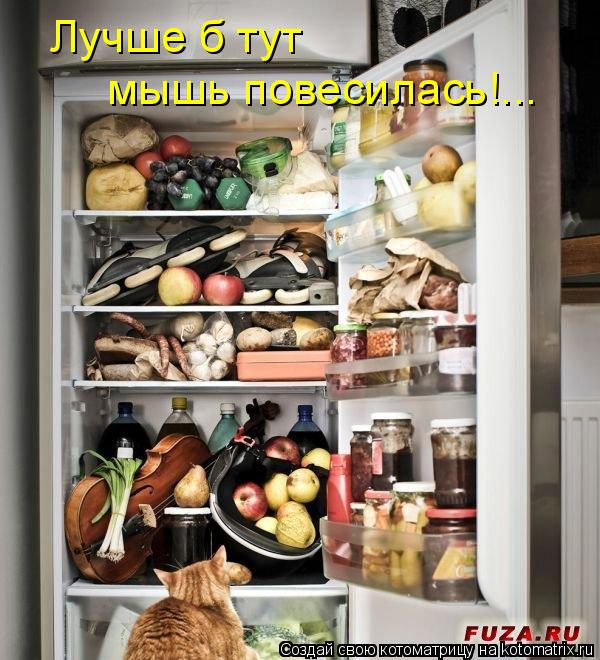 Лучше б тут мышь повесилась!...... Котоматрица: Лучше б тут мышь повесилась!...