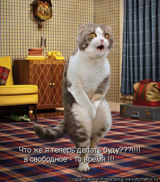 Что же я теперь делать буду???!!!! в свободное - то время !!!... Котоматрица: Что же я теперь делать буду???!!!! в свободное - то время !!!