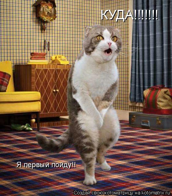 КУДА!!!!!!! Я первый пойду!!... Котоматрица: КУДА!!!!!!! Я первый пойду!!