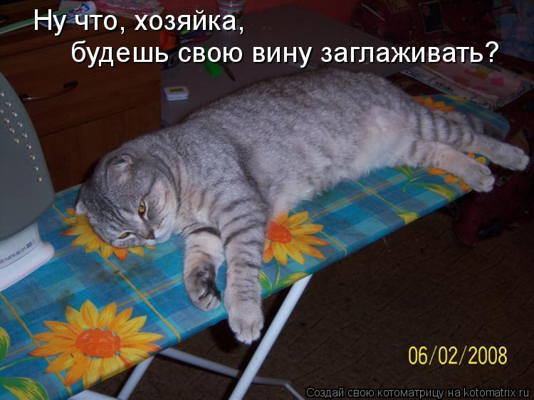 Ну что, хозяйка, будешь свою вину заглаживать?... Котоматрица: Ну что, хозяйка, будешь свою вину заглаживать?