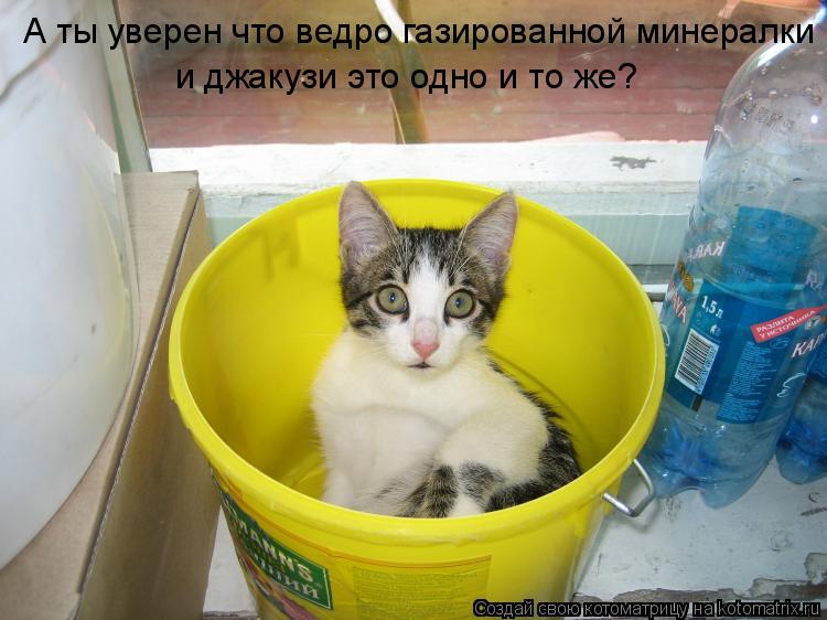 А ты уверен что ведро газированной минералки и джакузи это одно и то же?... Котоматрица: А ты уверен что ведро газированной минералки и джакузи это одно и то же?