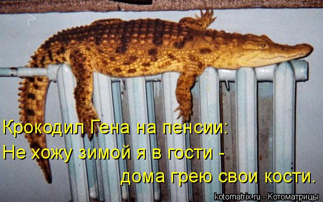 Котоматрица: Крокодил Гена на пенсии: Не хожу зимой я в гости - дома грею свои кости.
