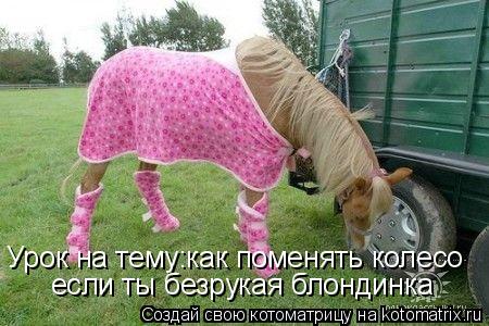 Урок на тему:как поменять колесо если ты безрукая блондинка... Котоматрица: Урок на тему:как поменять колесо если ты безрукая блондинка