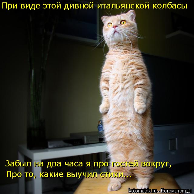 Котоматрица: При виде этой дивной итальянской колбасы Забыл на два часа я про гостей вокруг, Про то, какие выучил стихи...