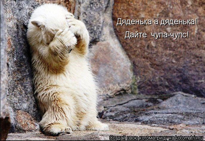 Котоматрица: Дяденька а дяденька! Дайте  чупа-чупс!