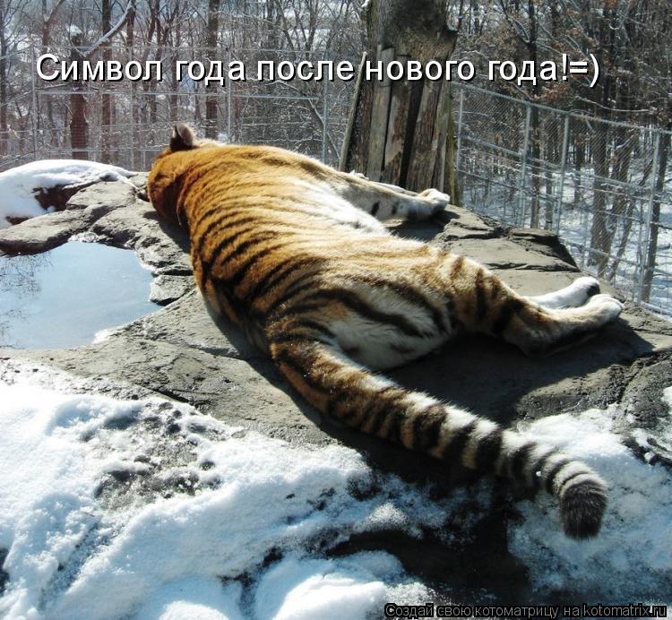 Котоматрица: Символ года после нового года!=)