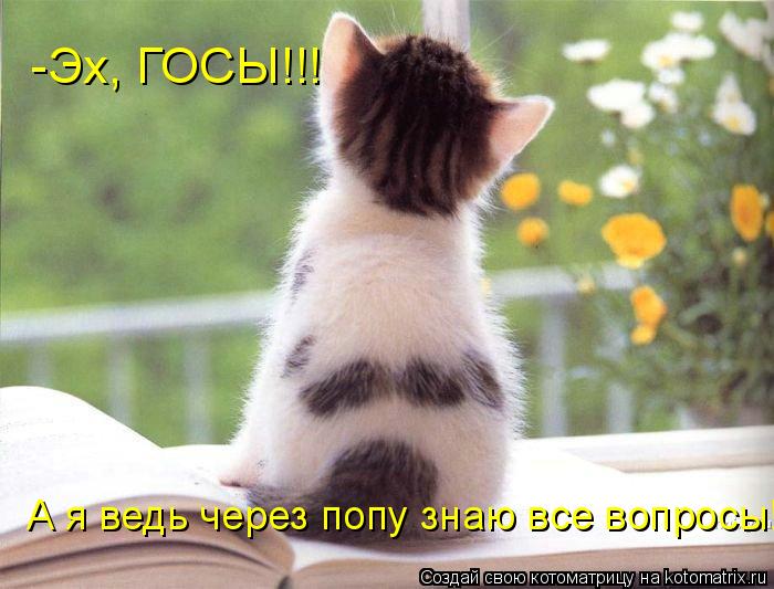 Котоматрица: -Эх, ГОСЫ!!! А я ведь через попу знаю все вопросы!