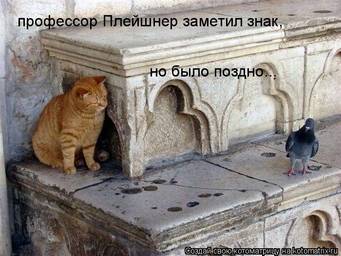 профессор Плейшнер заметил знак, но было поздно...... Котоматрица: профессор Плейшнер заметил знак, но было поздно...