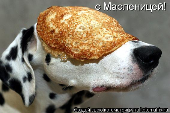 с Масленицей!... Котоматрица: с Масленицей!