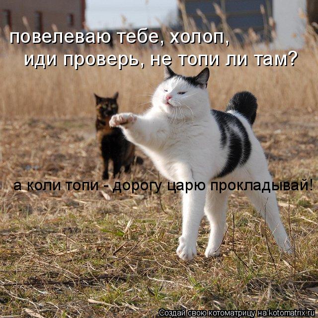 повелеваю тебе, холоп, иди проверь, не топи ли там? а коли топи - дорогу царю прокладывай!... Котоматрица: повелеваю тебе, холоп, иди проверь, не топи ли там? а коли топи - дорогу царю прокладывай!