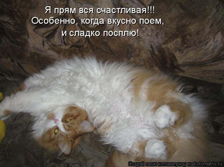 Я прям вся счастливая!!! Особенно, когда вкусно поем, и сладко посплю!... Котоматрица: Я прям вся счастливая!!! Особенно, когда вкусно поем, и сладко посплю!