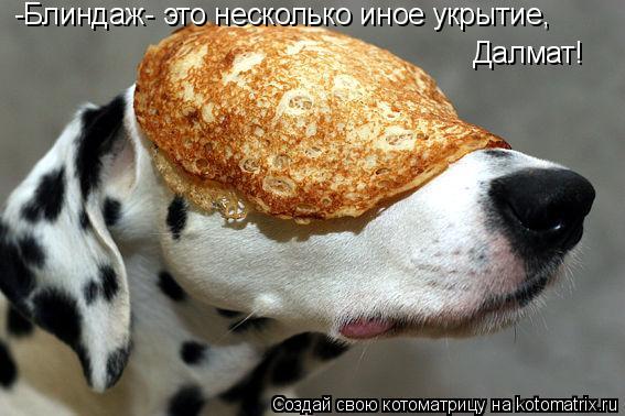 -Блиндаж- это несколько иное укрытие, Далмат!... Котоматрица: -Блиндаж- это несколько иное укрытие, Далмат!