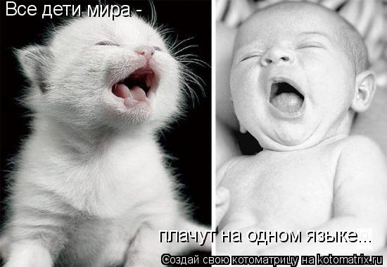 Котоматрица: Все дети мира -  плачут на одном языке...