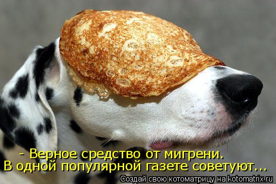 Котоматрица: В одной популярной газете советуют... - Верное средство от мигрени.