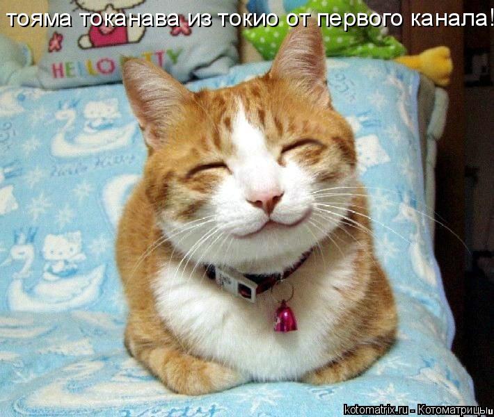 Котоматрица: тояма токанава из токио от первого канала!