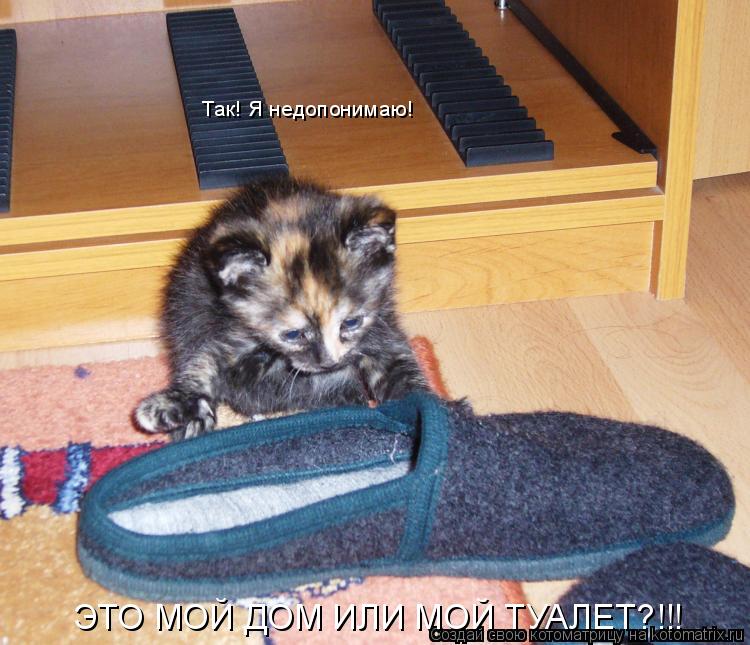 Так! Я недопонимаю! ЭТО МОЙ ДОМ ИЛИ МОЙ ТУАЛЕТ?!!!... Котоматрица: Так! Я недопонимаю! ЭТО МОЙ ДОМ ИЛИ МОЙ ТУАЛЕТ?!!!