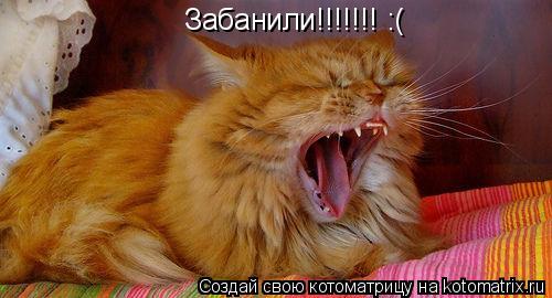 Забанили!!!!!!! :(... Котоматрица: Забанили!!!!!!! :(