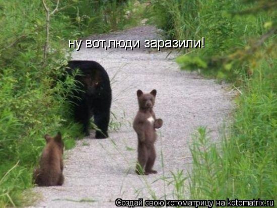 ну вот,люди заразили! ну вот,люди заразили!... Котоматрица: ну вот,люди заразили! ну вот,люди заразили!