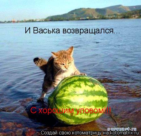 И Васька возвращался... С хорошим уловом!!!... Котоматрица: И Васька возвращался... С хорошим уловом!!!
