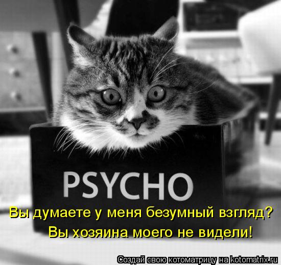 Вы думаете у меня безумный взгляд? Вы хозяина моего не видели!... Котоматрица: Вы думаете у меня безумный взгляд? Вы хозяина моего не видели!