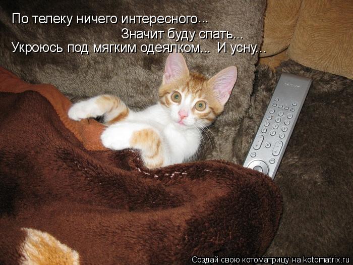 По телеку ничего интересного ... Значит буду спать... Укроюсь под мягким одеялком... И усну...... Котоматрица: По телеку ничего интересного ... Значит буду спать... Укроюсь под мягким одеялком... И усну...