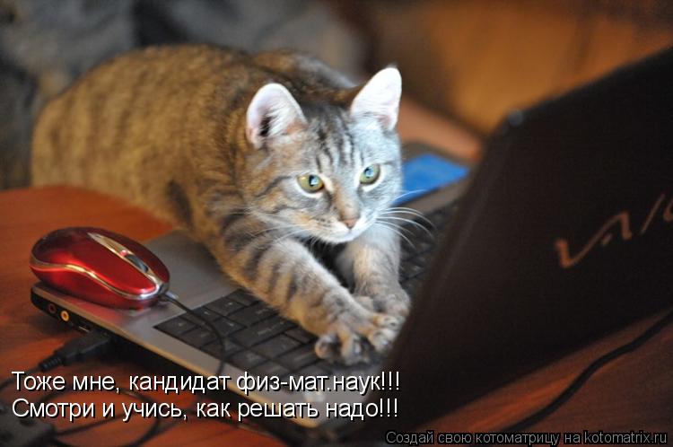 Тоже мне, кандидат физ-мат.наук!!! Смотри и учись, как решать надо!!!... Котоматрица: Тоже мне, кандидат физ-мат.наук!!! Смотри и учись, как решать надо!!!