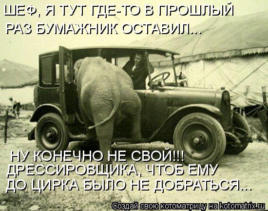 ШЕФ, Я ТУТ ГДЕ-ТО В ПРОШЛЫЙ РАЗ БУМАЖНИК ОСТАВИЛ... НУ КОНЕЧНО НЕ СВОЙ!!! ДРЕССИРОВЩИКА, ЧТОБ ЕМУ ДО... Котоматрица: ШЕФ, Я ТУТ ГДЕ-ТО В ПРОШЛЫЙ РАЗ БУМАЖНИК ОСТАВИЛ... НУ КОНЕЧНО НЕ СВОЙ!!! ДРЕССИРОВЩИКА, ЧТОБ ЕМУ ДО ЦИРКА БЫЛО НЕ ДОБРАТЬСЯ...
