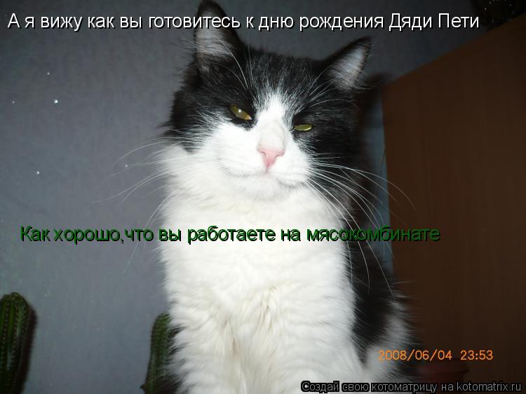 А я вижу как вы готовитесь к дню рождения Дяди Пети Как хорошо,что вы работаете на мясокомбинате... Котоматрица: А я вижу как вы готовитесь к дню рождения Дяди Пети Как хорошо,что вы работаете на мясокомбинате