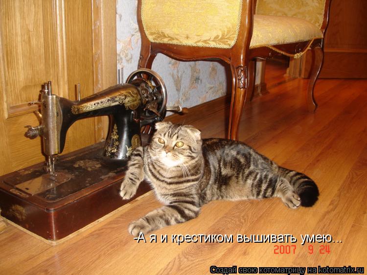 -А я и крестиком вышивать умею...... Котоматрица: -А я и крестиком вышивать умею...