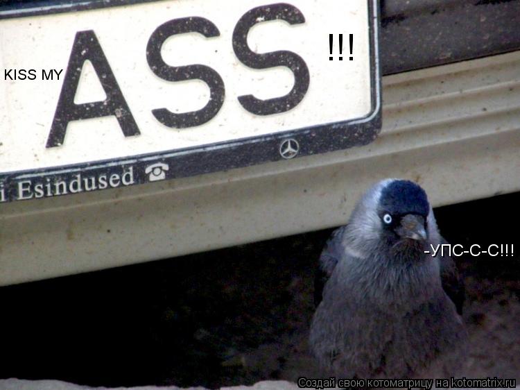 KISS MY !!! -УПС-С-С!!!... Котоматрица: KISS MY !!! -УПС-С-С!!!