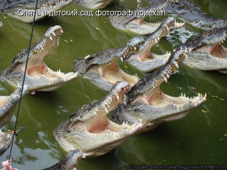 Опять в детский сад фотограф приехал...... Котоматрица: Опять в детский сад фотограф приехал...
