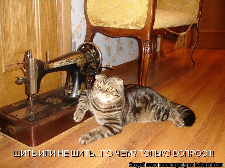 ШИТЬ ИЛИ НЕ ШИТЬ...ПО ЧЕМ? ТОЛЬКО ВОПРОС!!!... Котоматрица: ШИТЬ ИЛИ НЕ ШИТЬ...ПО ЧЕМ? ТОЛЬКО ВОПРОС!!!