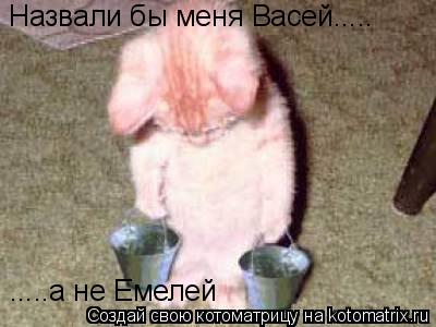 Назвали бы меня Васей..... .....а не Емелей... Котоматрица: Назвали бы меня Васей..... .....а не Емелей