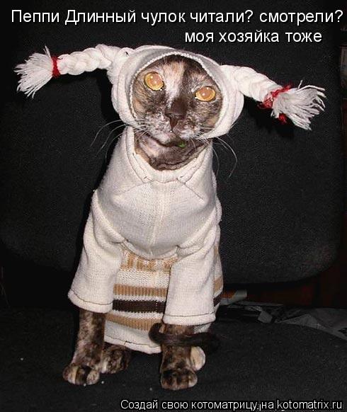 Пеппи Длинный чулок читали? смотрели? моя хозяйка тоже... Котоматрица: Пеппи Длинный чулок читали? смотрели? моя хозяйка тоже