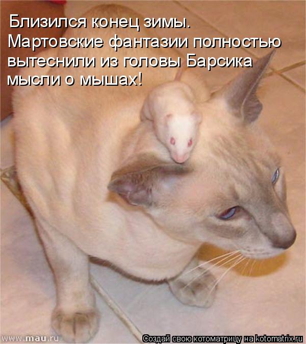 Близился конец зимы. Мартовские фантазии полностью вытеснили из головы Барсика мысли о мышах!... Котоматрица: Близился конец зимы. Мартовские фантазии полностью вытеснили из головы Барсика мысли о мышах!