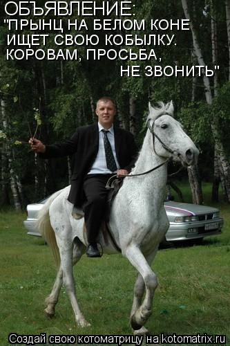 ОБЪЯВЛЕНИЕ: "ПРЫНЦ НА БЕЛОМ КОНЕ ИЩЕТ СВОЮ КОБЫЛКУ. КОРОВАМ, ПРОСЬБА, НЕ ЗВОНИТЬ"... Котоматрица: ОБЪЯВЛЕНИЕ: "ПРЫНЦ НА БЕЛОМ КОНЕ ИЩЕТ СВОЮ КОБЫЛКУ. КОРОВАМ, ПРОСЬБА, НЕ ЗВОНИТЬ"