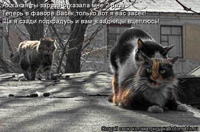 Ах какая ты зараза-отказала мне 2 раза. Теперь в фаворе Васёк,только вот я вас засёк! Ща я сзади подк... Котоматрица: Ах какая ты зараза-отказала мне 2 раза. Теперь в фаворе Васёк,только вот я вас засёк! Ща я сзади подкрадусь и вам в задницы вцеплюсь!