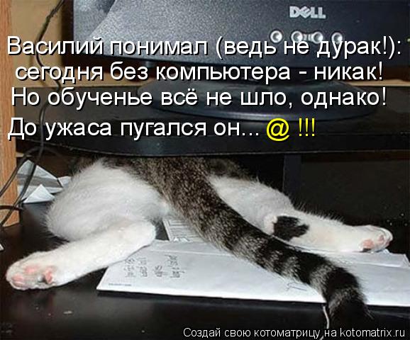 Василий понимал (ведь не дурак!): сегодня без компьютера - никак! Но обученье всё не шло, однако! До ... Котоматрица: Василий понимал (ведь не дурак!): сегодня без компьютера - никак! Но обученье всё не шло, однако! До ужаса пугался он... @ !!!