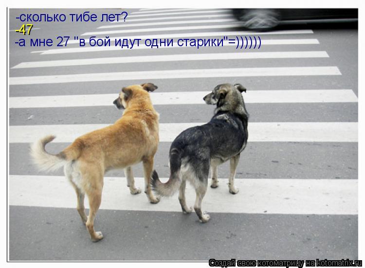 сколько тибе лет? -сколько тибе лет? -47 -а мне 27 "в бой идут одни старики"=)))))) -а мне 27 "в бой ... Котоматрица: сколько тибе лет? -сколько тибе лет? -47 -а мне 27 "в бой идут одни старики"=)))))) -а мне 27 "в бой идут одни старики"=))))))
