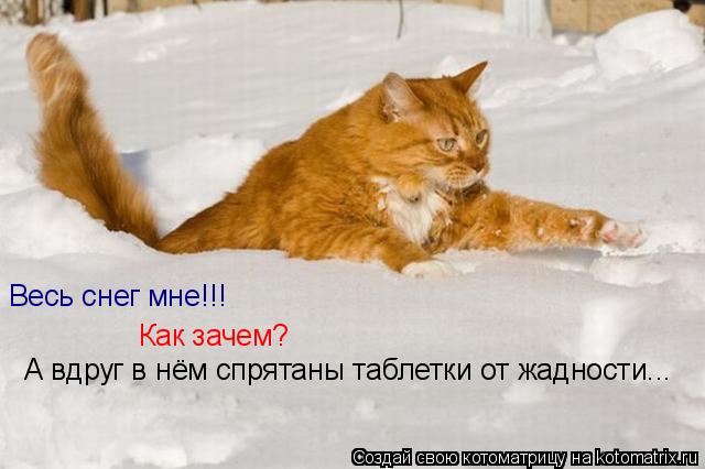 Весь снег мне!!! Как зачем? А вдруг в нём спрятаны таблетки от жадности...... Котоматрица: Весь снег мне!!! Как зачем? А вдруг в нём спрятаны таблетки от жадности...