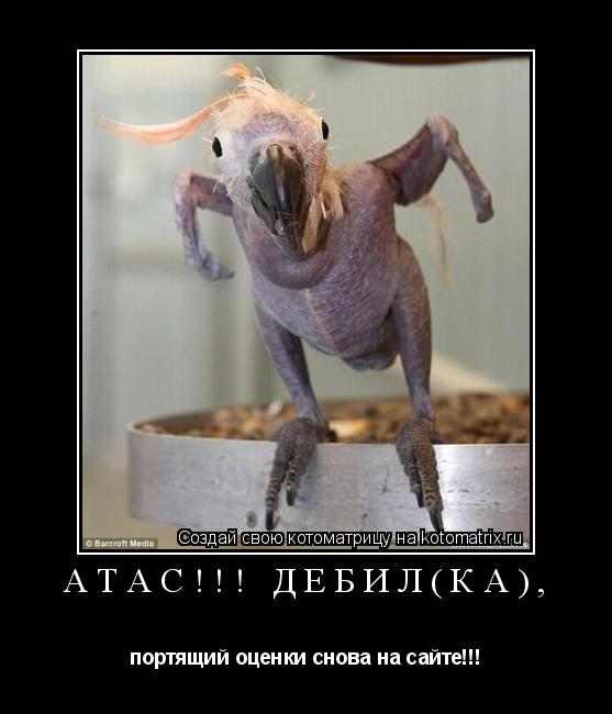 атас!!! Дебил(ка), портящий оценки снова на сайте!!!... Котоматрица: атас!!! Дебил(ка), портящий оценки снова на сайте!!!