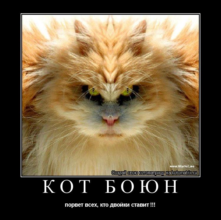 КОТ БОЮН порвет всех, кто двойки ставит !!!... Котоматрица: КОТ БОЮН порвет всех, кто двойки ставит !!!