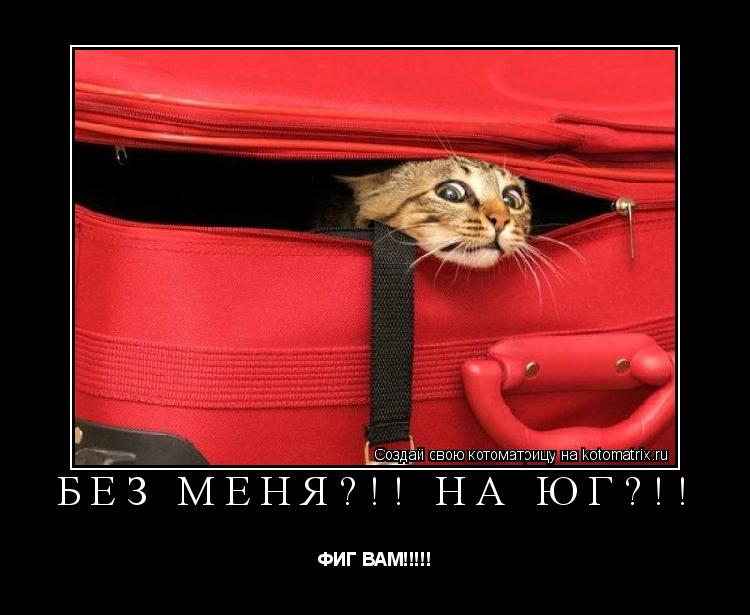 БЕЗ МЕНЯ?!! НА ЮГ?!! ФИГ ВАМ!!!!!... Котоматрица: БЕЗ МЕНЯ?!! НА ЮГ?!! ФИГ ВАМ!!!!!